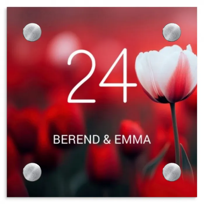 Rode tulpen - Klassiek Naambord Vierkant klein -3d