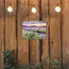 Lavendel - Bloemen - Zonsondergang - Paars - Weide tuinposter los doek klein -sfeer1