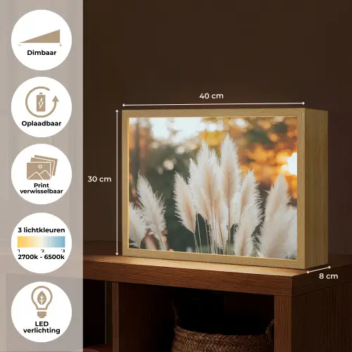 Pampasgras - Pluimen - Sierlijk Light Box met batterij (Wandlamp) middel -USP_websiteoverzichtNL