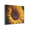 Geel - Zonnebloem - Zomers PET vilt klein -3d