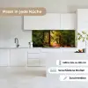 Bos - Pad - Bomen - Groen - Zon - Natuur keuken achterwand 2 middel -sfeer4_DE