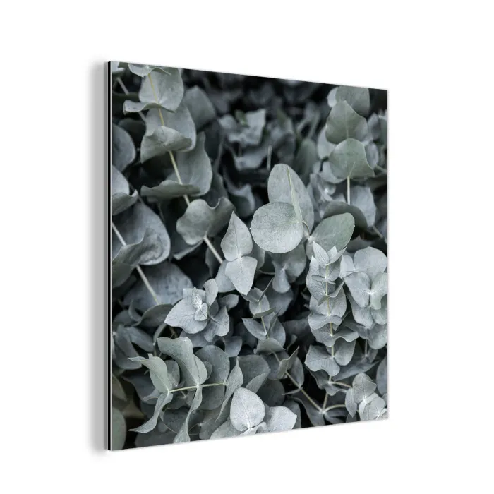 Natuur - Planten - Eucalyptus - Bladeren aluminium wit klein -3d