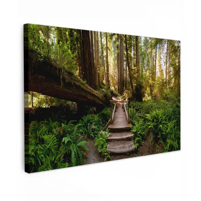 Jungle - Natuur - Trap - Bomen Tuinposter op houten frame 2 cm dik klein -3d