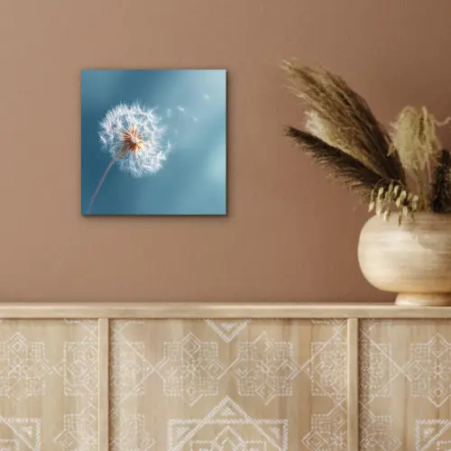 Paardenbloem - Wind - Blauw aluminium wit klein -sfeer4