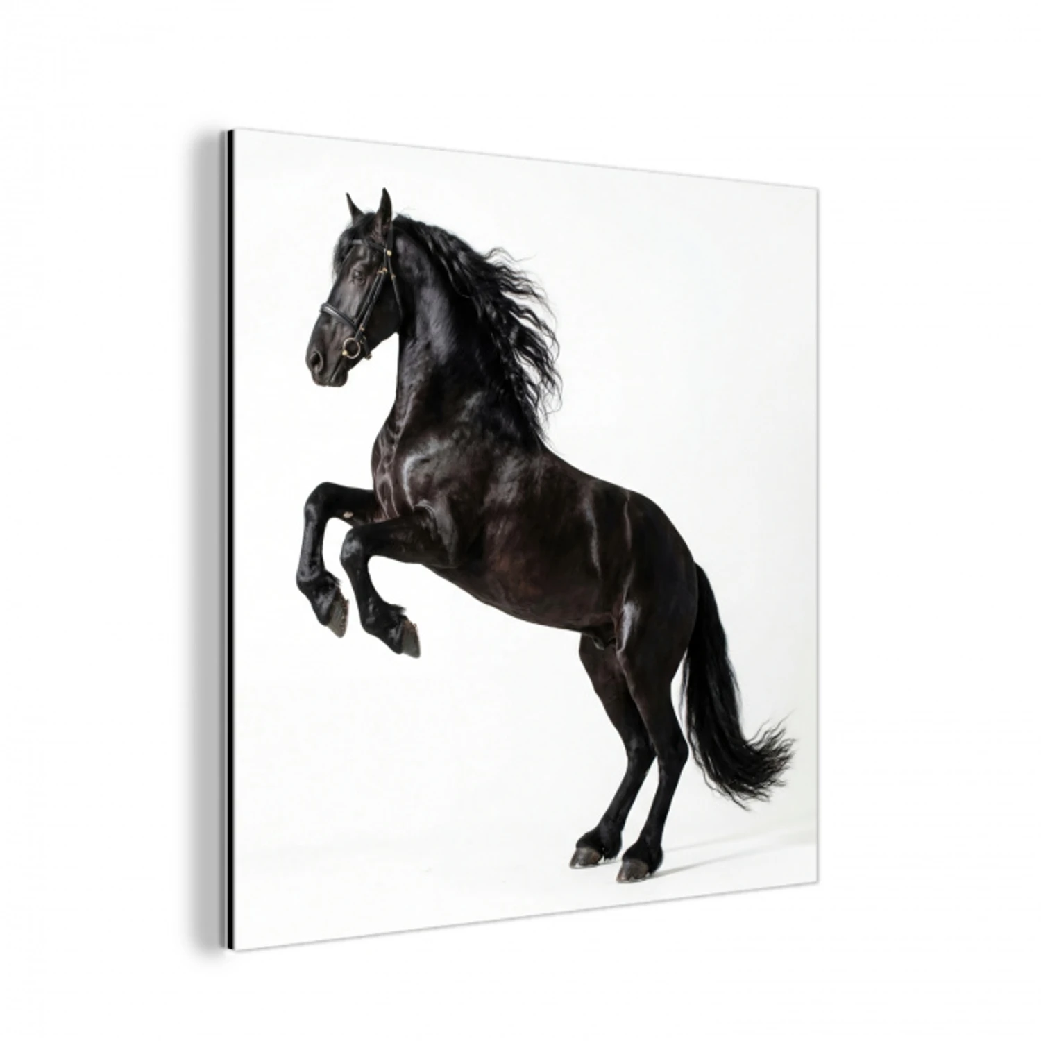 Zwart - Paard - Portret aluminium wit klein -3d