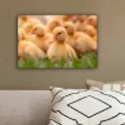 Pijltje - Eend - Natuur - Geel canvas 2cm klein -sfeer3