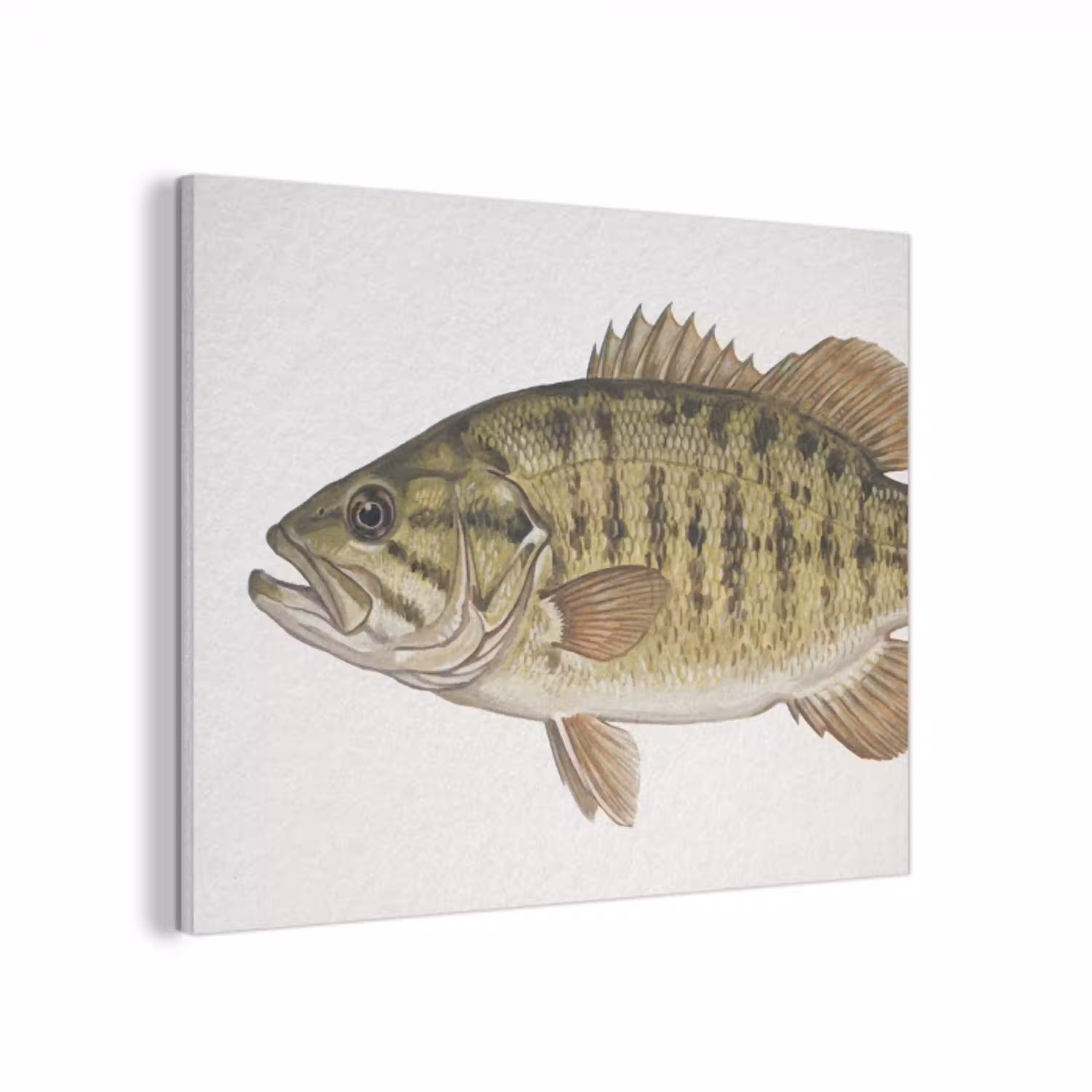 Vissen - Natuur - Vintage PET vilt klein -3d