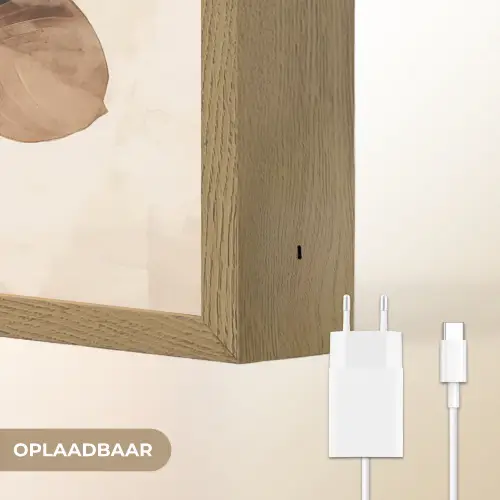 Gedroogde plant - Natuur - Bruin - Planten Light Box met batterij (Wandlamp) middel -USP_websiteoplaadbaarNL