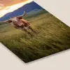 Longhorn - Landschap - Zonsondergang fotolijst zwart zonder passe partout klein -zsfeer6