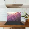 Lavendel - Paars - Zonlicht keuken achterwand spatscherm klein -sfeer2