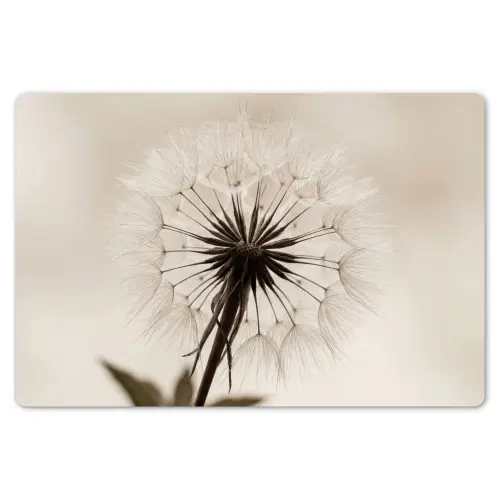 Paardenbloem - Minimalistisch - Wit Placemat vinyl groot -zzsfeer1_Kitchenyeah-website