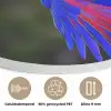 Felgekleurd - Papegaai - Bos - Vleugels Akoestische PET Vilt - Rond klein -closeup_NL