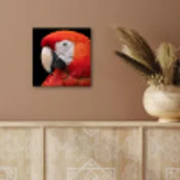 Ara - Portret - Rood aluminium wit klein -sfeer4