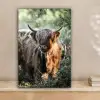 Schotse Hooglanders - Bos - Dieren canvas 2cm klein -sfeer1