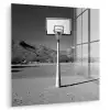 Basketbalpaal - Landschap - Zand - Wit plexiglas 5mm klein -zzzproduct_nieuw