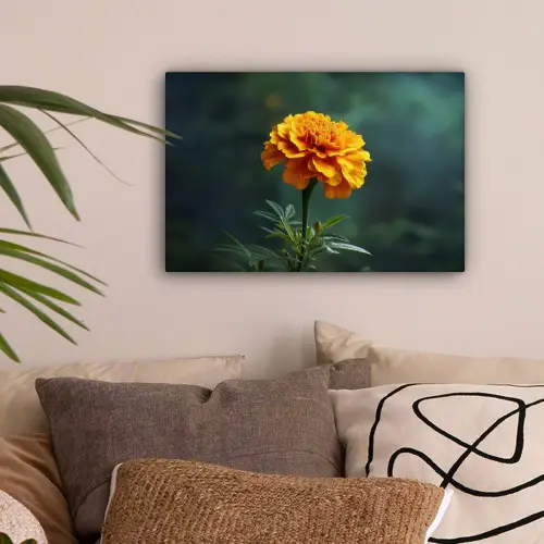 Bloemblaadjes - Afrikaan - Oranje - Wazig canvas 2cm klein -sfeer1