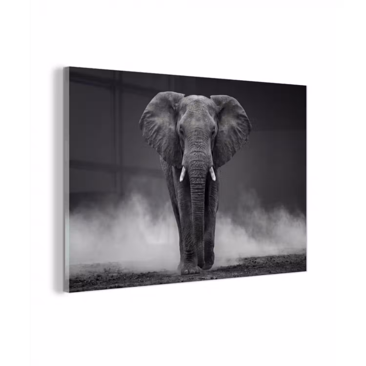 Glasbild - Elefant - Schwarz - Weiß - Rauch
