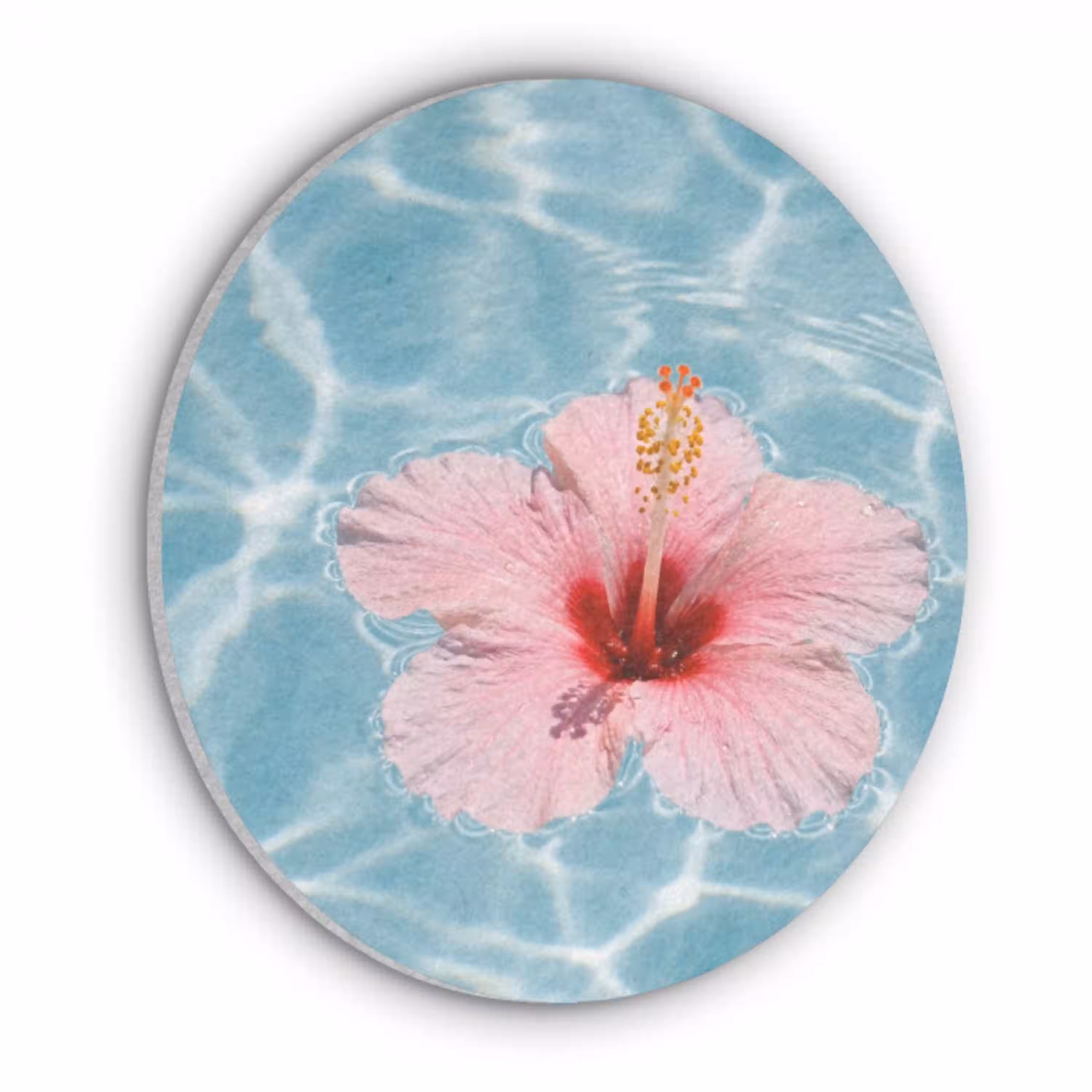 Hibiscus - Water - Roze Akoestische PET Vilt - Rond klein -3d
