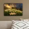 Bloemenveld - Heuvels - Zonsondergang - Berg - Natuur - Wit - Heuvels canvas 2cm klein -sfeer3