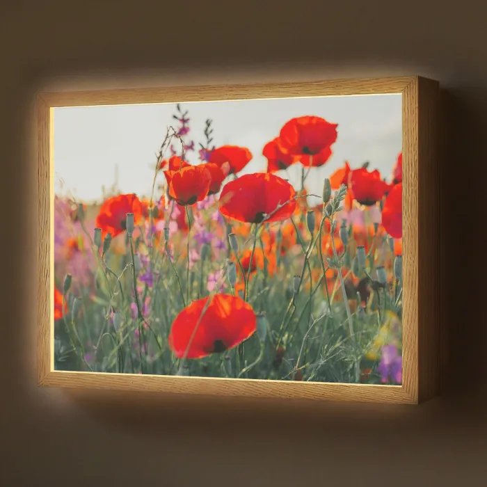 Klaproos - Bloemen - Rood - Paars - Weide Light Box met batterij (Wandlamp) middel -z3d_website