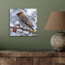 Pestvogel - Bessen - Winter - Natuur aluminium wit klein -sfeer2