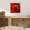 Close up - Bloem - Quote - Rood aluminium wit klein -sfeer3