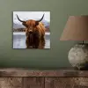Schotse hooglander - Bruin - Water aluminium wit klein -sfeer2