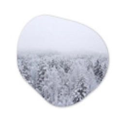 Bos - Sneeuw - Winter - Natuur - Wit Wandcirkel Organisch Aluminium middel -3d