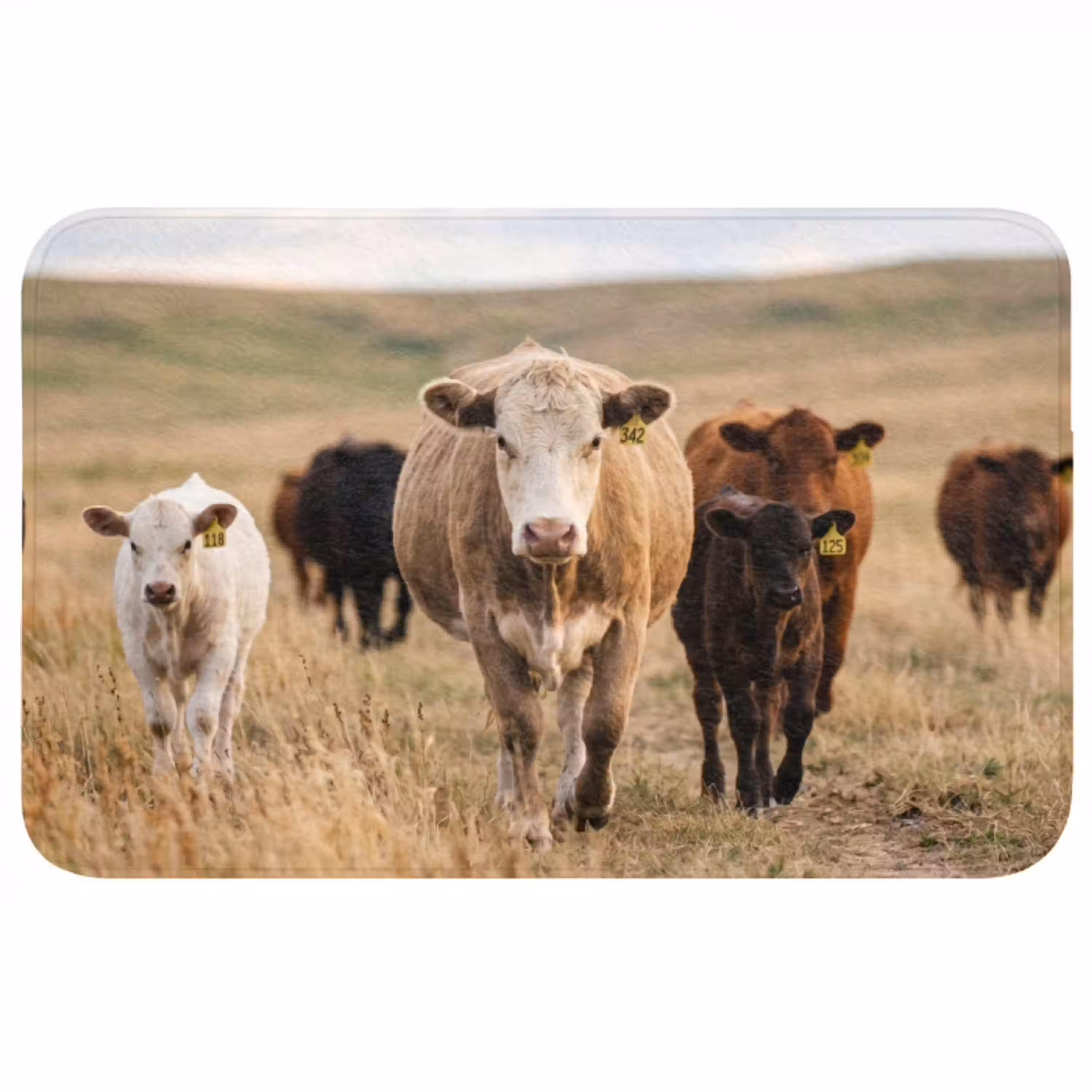 Runderen - Kudde - Landschap - Weide - Rustig Badmat middel -3d