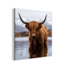Schotse hooglander - Bruin - Water aluminium wit klein -3d