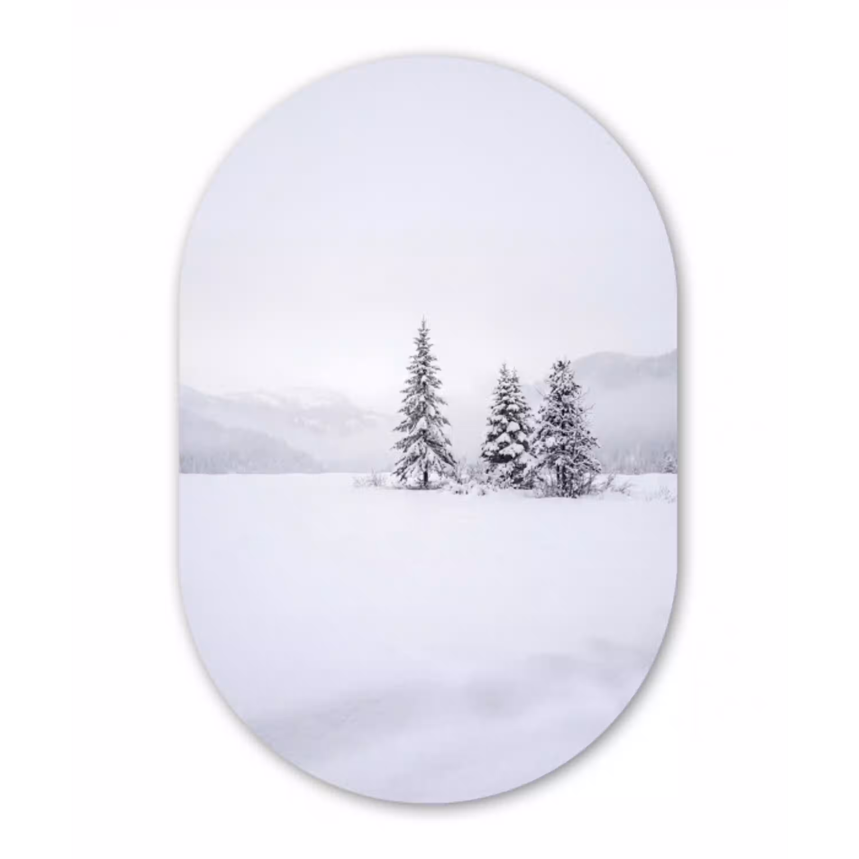 Fijnsparren - Sneeuw - Winter - Landschap - Stilte Wandcirkel Ovaal Aluminium middel -3d