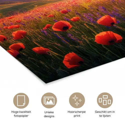 Landschap - Zonsondergang - Bloemenveld poster papier klein -closeup_NL