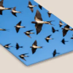 Zwaluwen - Vliegen - Blauw fotolijst zwart zonder passe partout klein -zsfeer6