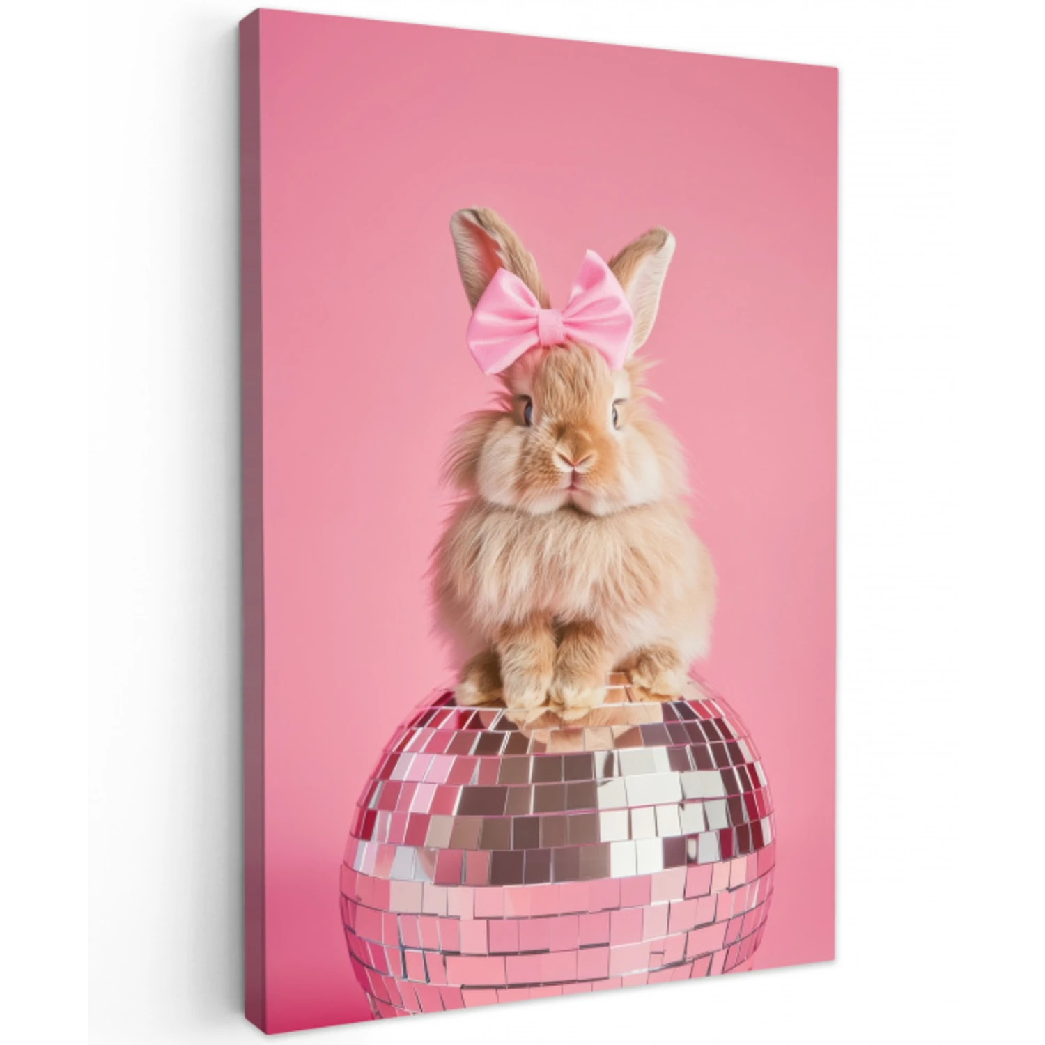 Strik - Discobal - Konijn Tuinposter op houten frame 2 cm dik middel -3d