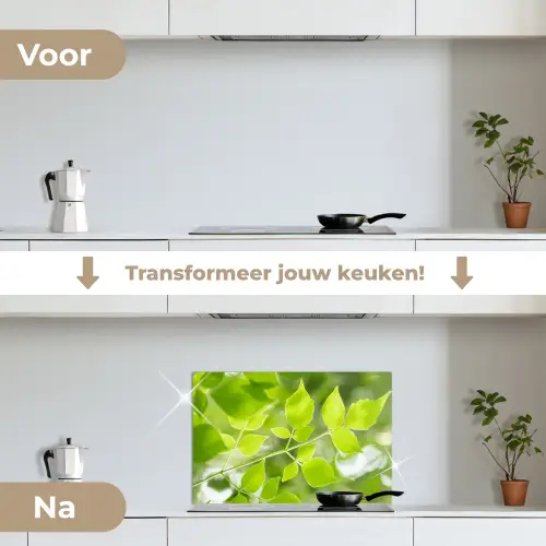 Natuur - Lente - Groen - Bladeren keuken achterwand spatscherm klein -voor_na_NL