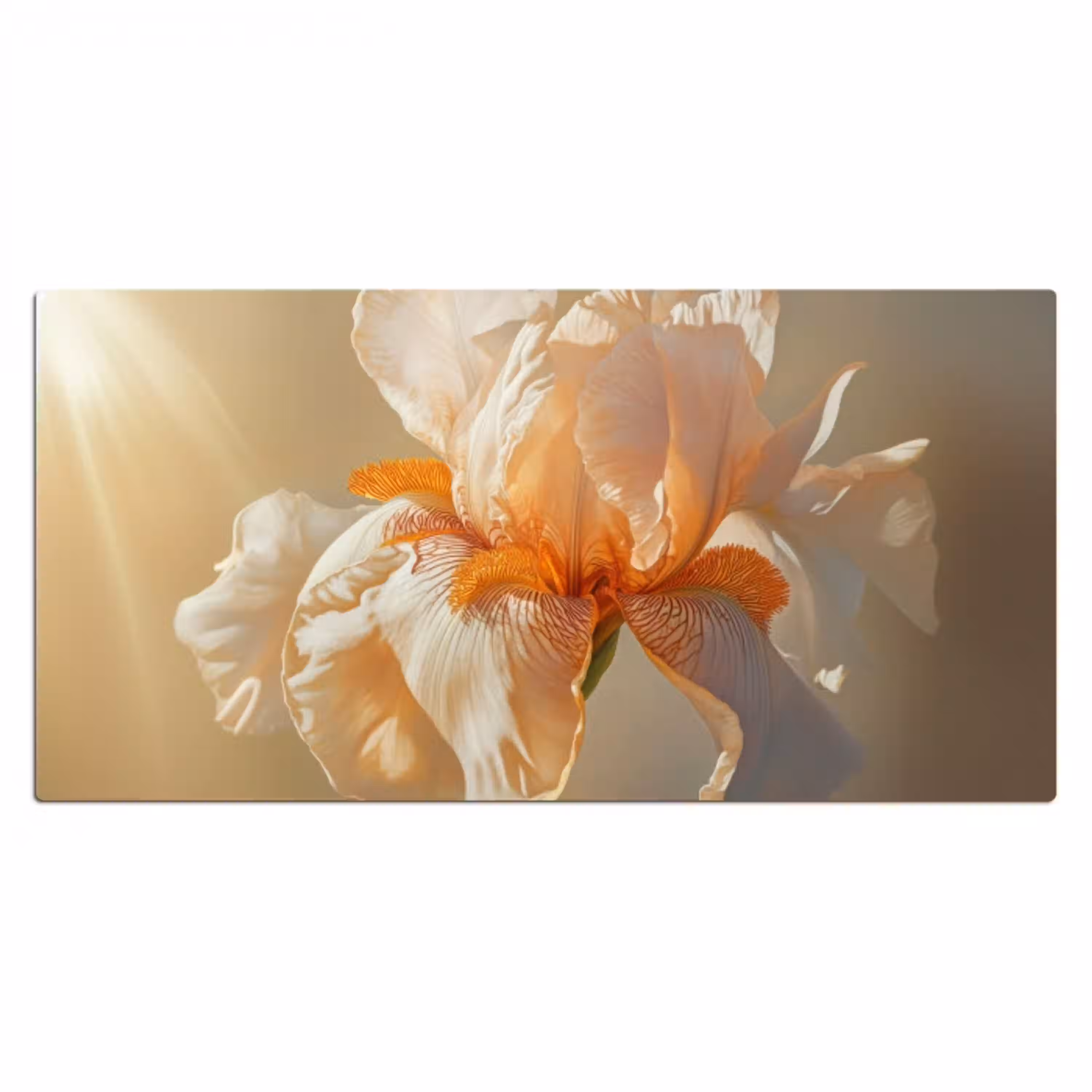 Close up - Oranje - Iris Muismat XXL klein -3d_leeg