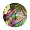 Kleurrijke vogel tussen allemaal kleurrijke platen Wandcirkel aluminium klein -3d