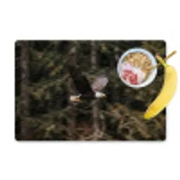 Zeearend - Vliegen - Bos - Natuur Placemat vinyl groot -zzzproduct_Kitchenyeah-website