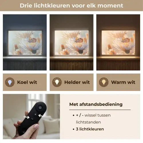 Vlinder - Bloem - Oranje Light Box met batterij (Wandlamp) middel -USP_lichtkleurNL