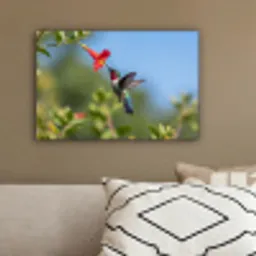 Kolibrie - Bloem - Natuur - Groen canvas 2cm klein -sfeer3