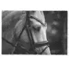 Paard - Schimmel - Portret Deurmat klein -zkaufland3d