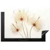 Elegantie in Transparantie Inductie beschermer vinyl 3mm klein -3d