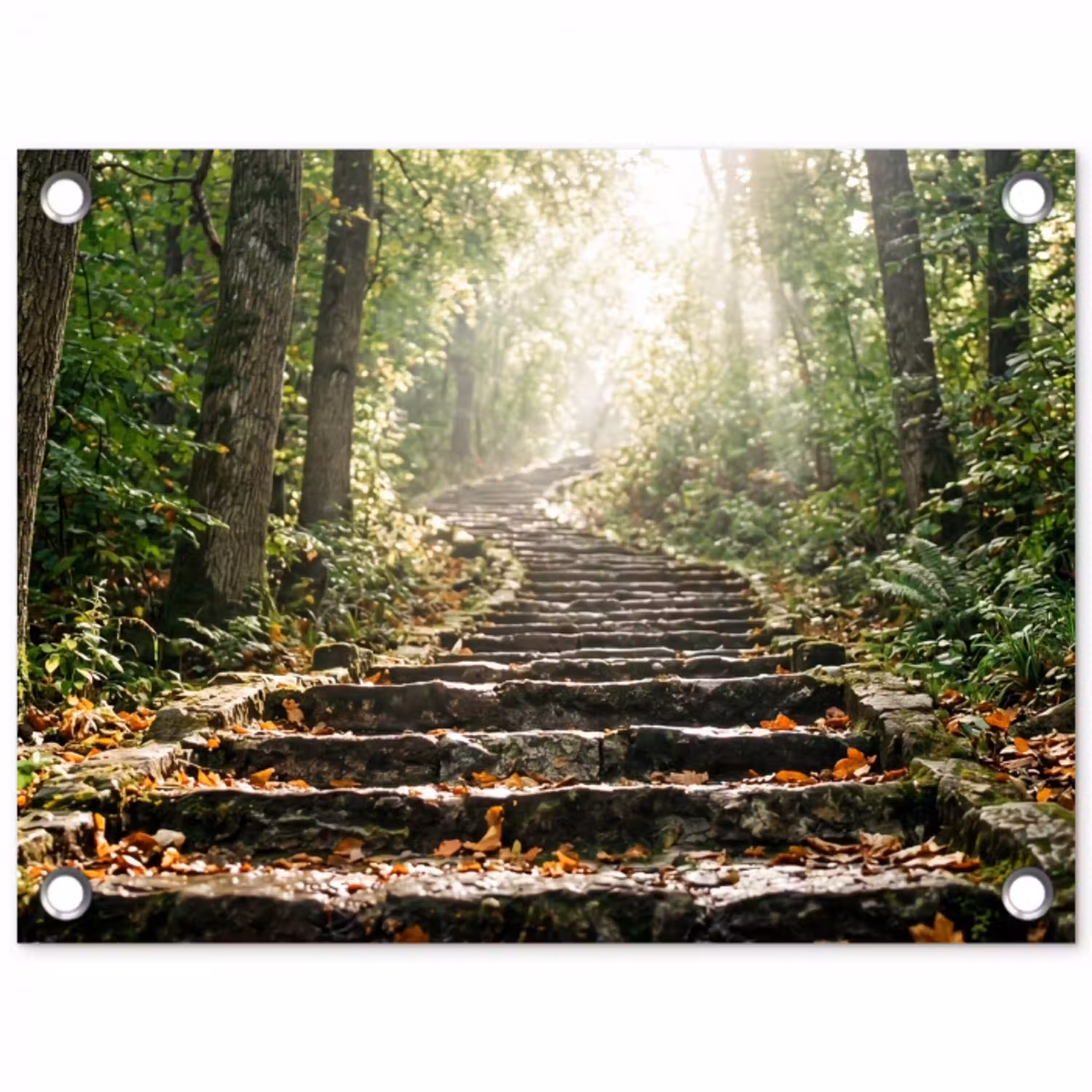 Stenen - Trap - Bos - Natuur tuinposter los doek klein -3d