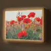 Klaproos - Bloemen - Rood - Paars - Weide Light Box met batterij (Wandlamp) middel -z3d_website