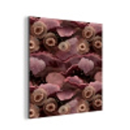 Koraal - Organisch - Roze aluminium wit klein 46 -3d