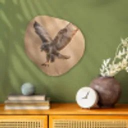 Buizerd - Roofvogel - Natuur - Bruin Wandcirkel Organisch Forex 3mm klein -sfeer2