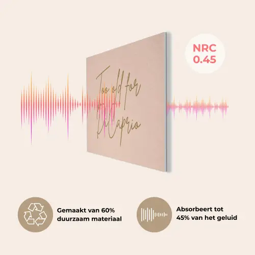 Too old for dicaprio - Roze - Groen PET vilt klein -USP_NL