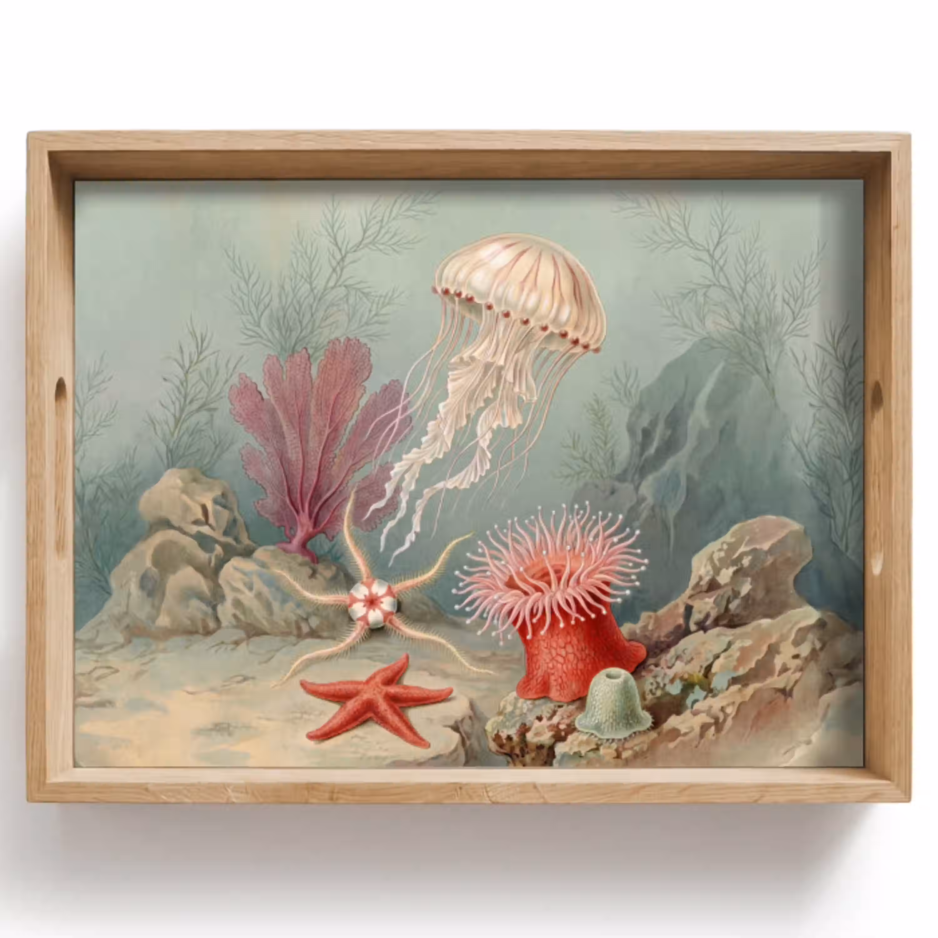 Zeeleven - Kwal - Onderwater - Illustratie - Beige Dienblad Rechthoek middel -z3d_shopping