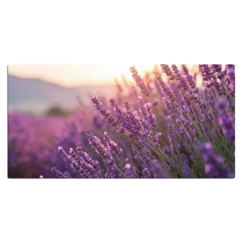 Lavendel - Paars - Zonlicht Muismat XXL klein -3d_leeg