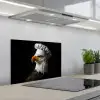 Arend -Amerika - Koksmuts - Vogel - Stoer keuken achterwand spatscherm klein -3d_schuin